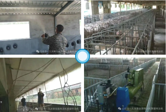 聚氨酯，为养殖场撑起“金钟罩”